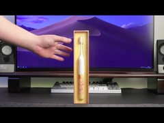 Prenda impermeable oral recargable del cepillo de dientes eléctrico IPX7 del cuidado por adolescencias de los adultos